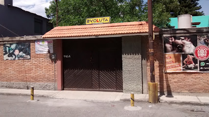Evoluta - Av Potosí 945, Terrazas, 78260 San Luis, S.L.P., Mexico