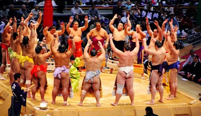 thi đấu sumo