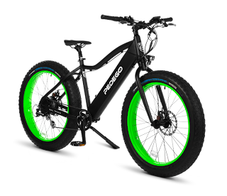 Electric Bikes