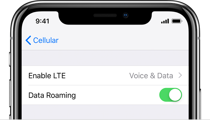 Check The Network Settings for iphone