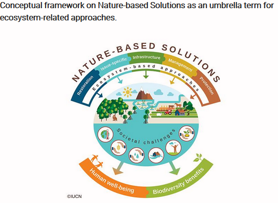 Nature-based Solutions