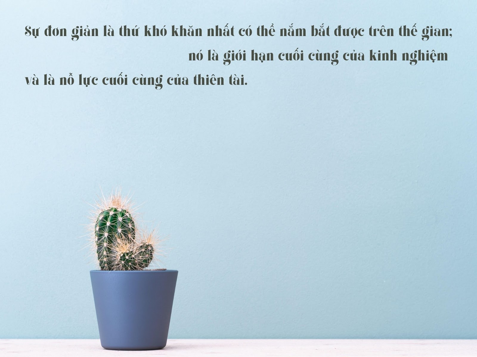 Tình yêu và cuộc sống: Cuộc sống tràn đầy màu sắc hơn khi có tình yêu. Những khoảnh khắc ngọt ngào và đáng nhớ sẽ được lưu giữ mãi trong trái tim. Xem những hình ảnh liên quan đến tình yêu và cuộc sống, bạn sẽ thấy được tình yêu là sức mạnh để vượt qua mọi thử thách và mang lại hạnh phúc và yêu thương cho cuộc sống.