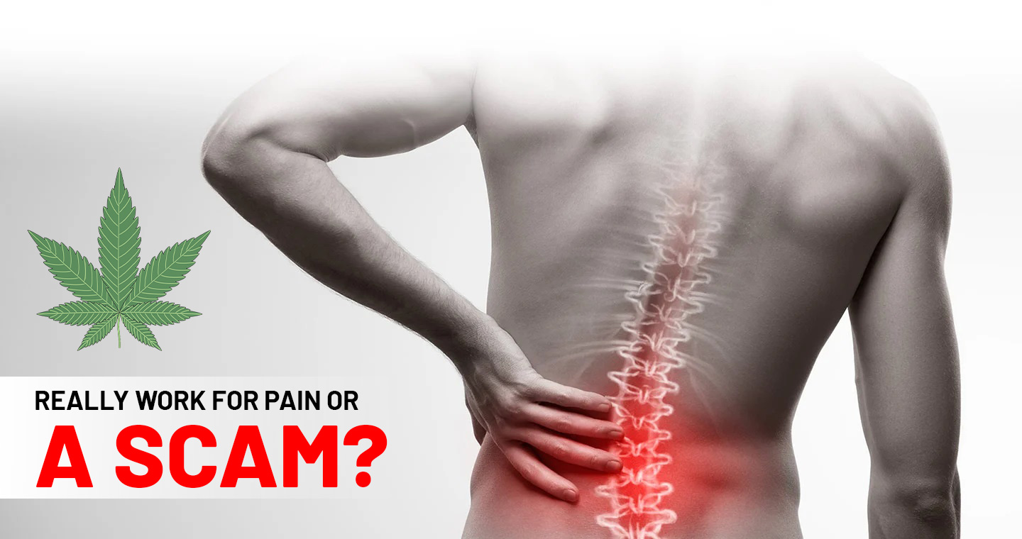 cbd oil for back pain