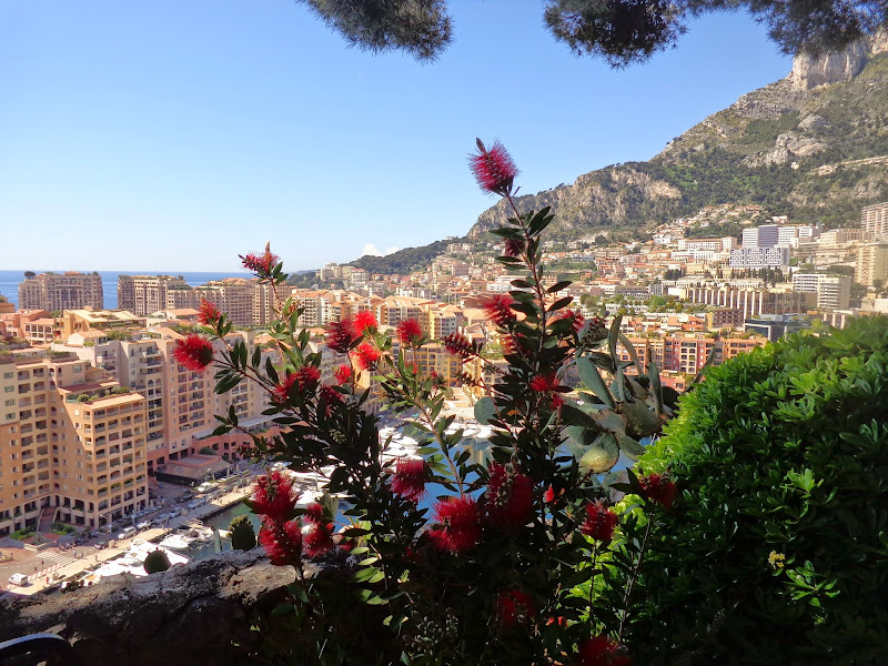 Круиз Azamara Quest, апрель 2014: удивительный кайфой круиз удивительных встреч форумчан