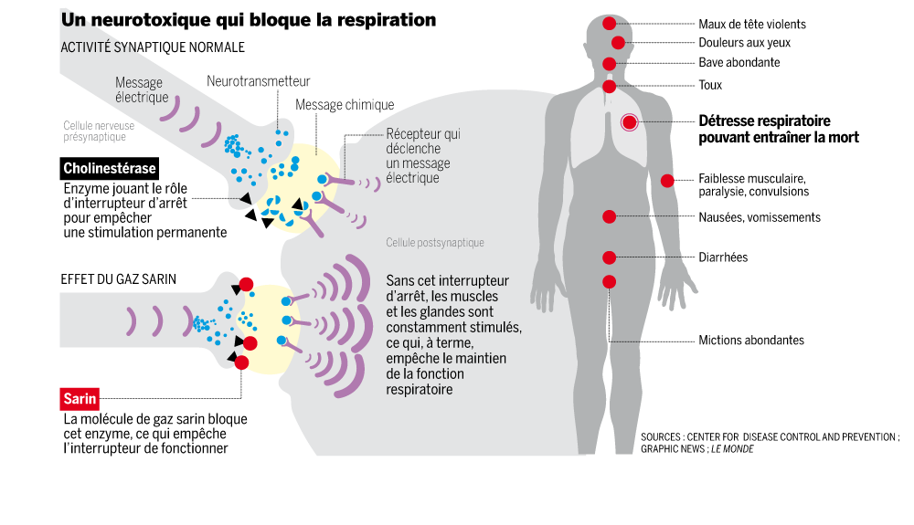 http://s1.lemde.fr/image/2013/06/05/1000x0/3424545_5_a9a7_les-effets-du-gaz-sarin-sur-l-organisme_b02294782fec1c7c390173944085d4bc.png