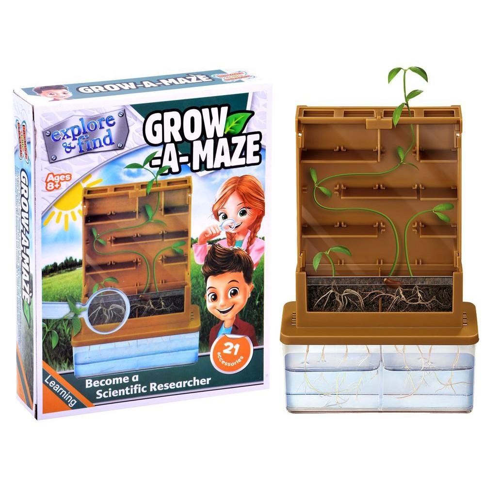 5. Grow A mazz  ชุดทดลองการเติบโตของต้นไม้ 