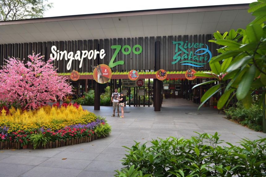 The three companies submitted bids for projects in Jurong Bird Park, the Night Safari, Singapore Zoo and River Safari, and created the false impression that independent competitive bids were made, when they were not, said the Competition and Consumer