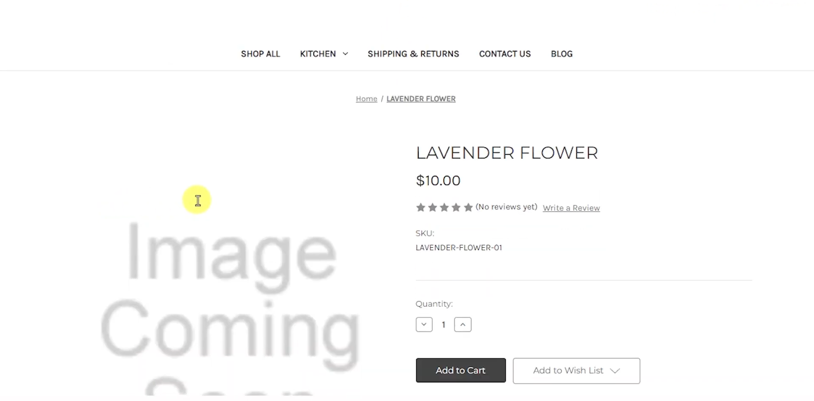 Check the new product on the BigCommerce system