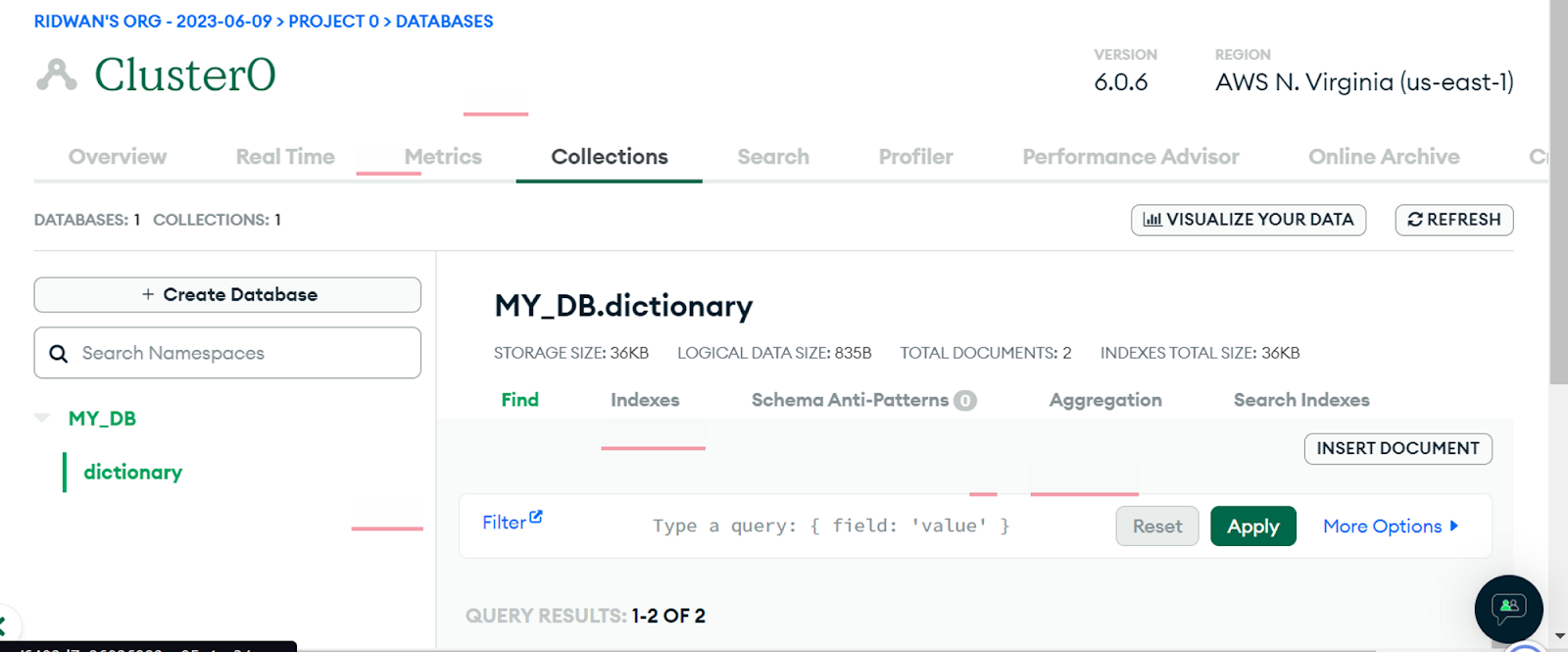 This shows information and tabs regarding the created clusters such as Overview, Collections and so on
