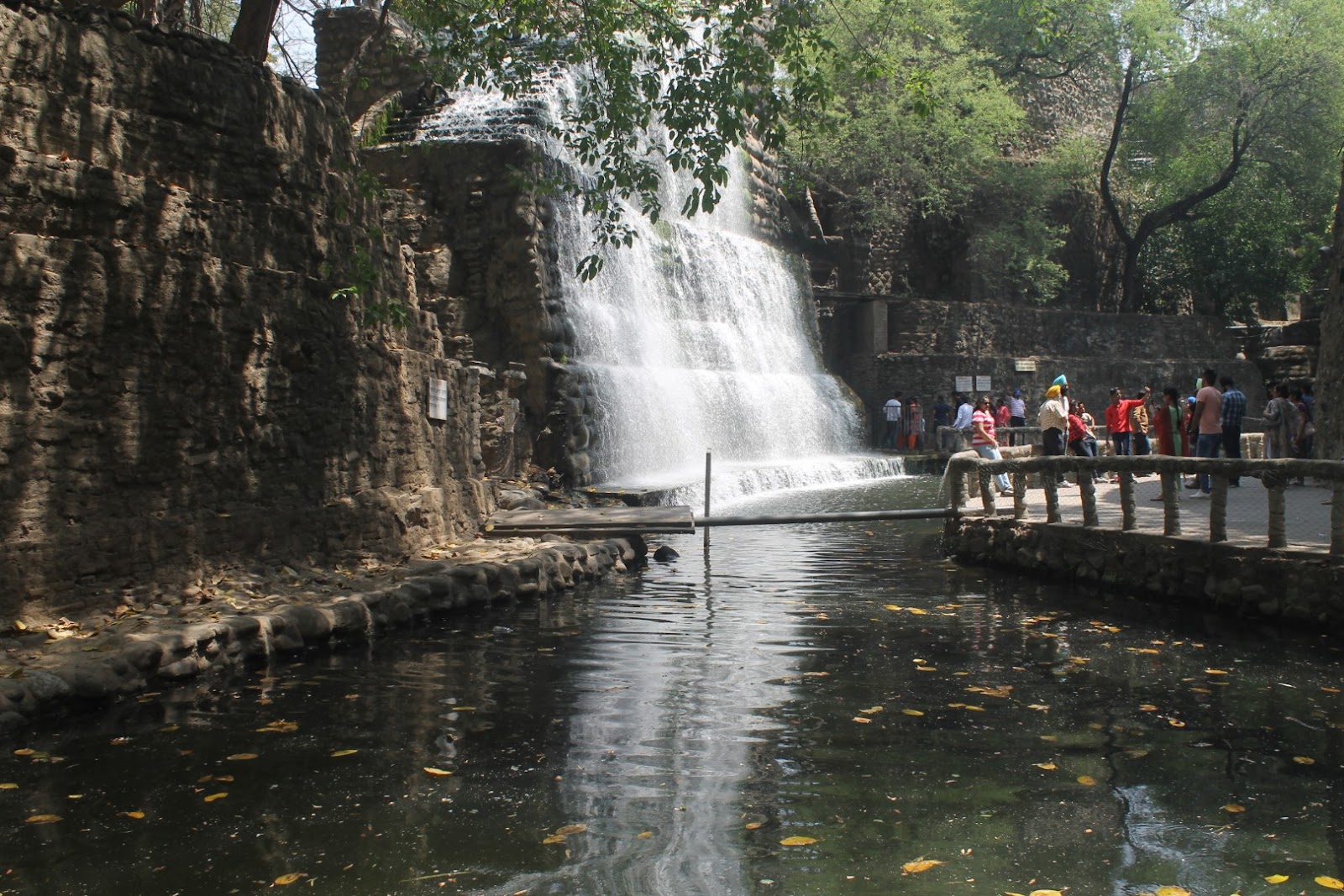 Rock Garden