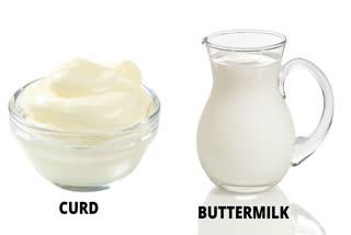 Curd and Buttermilk for Health