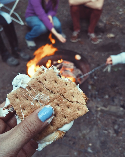s'more, food, snack
