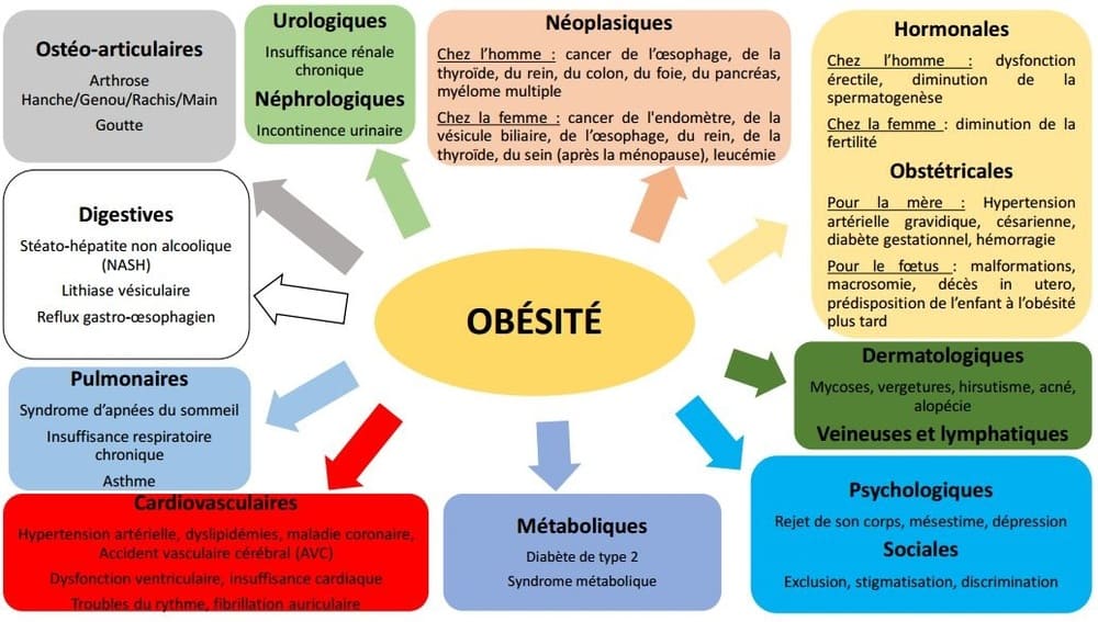 Risques et maladies liés à l'obésité