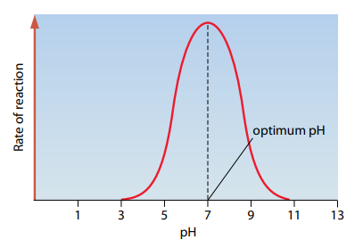 Chart

Description automatically generated