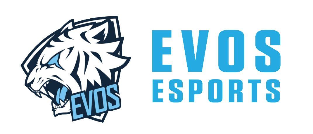Evos Esports - Tech in Asia