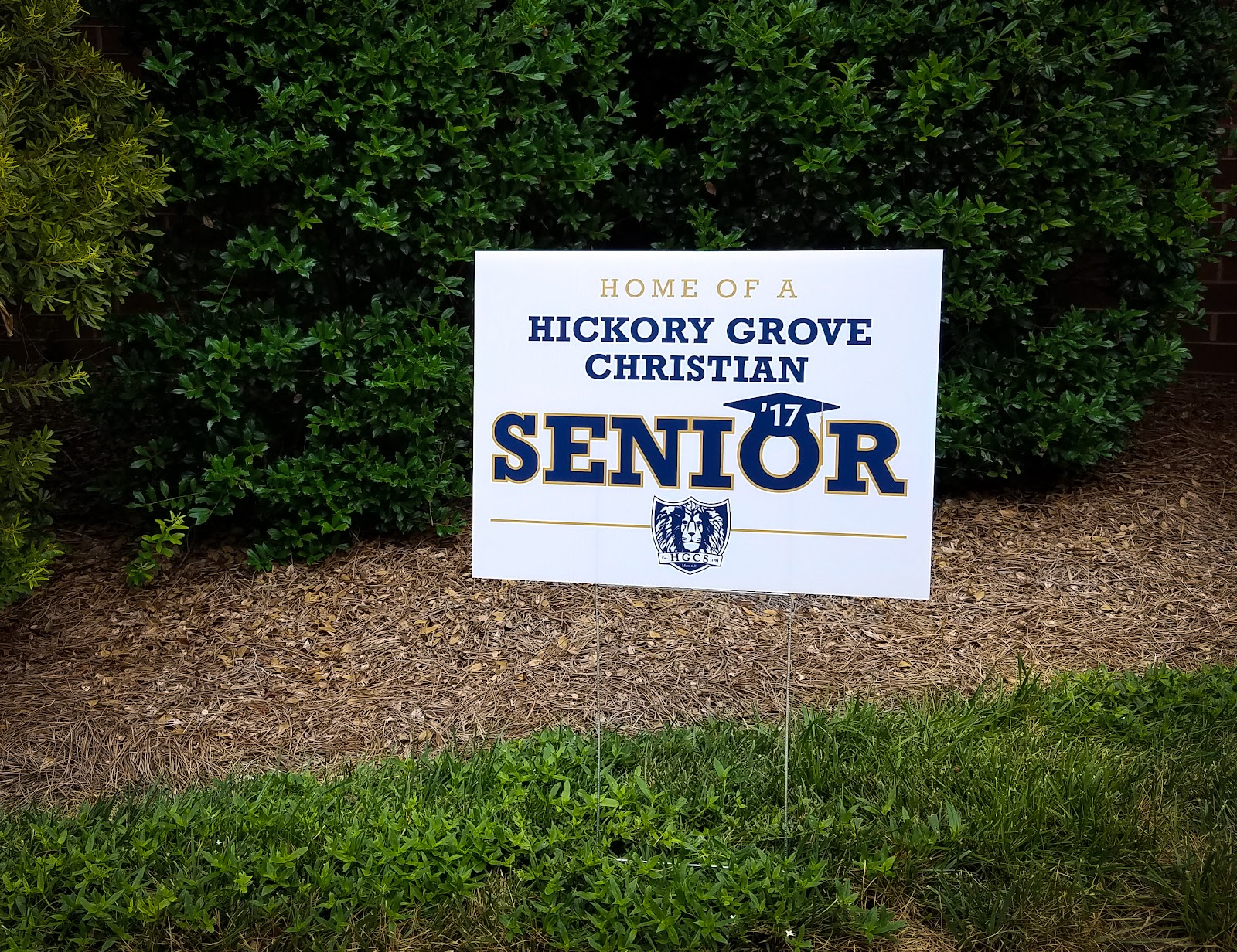 seniorsign.jpg