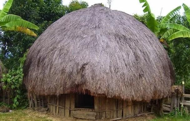 Rumah adat di papua dikenal dengan nama