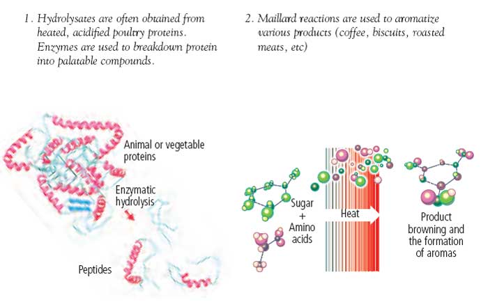 Main technologies used in the development of aromas