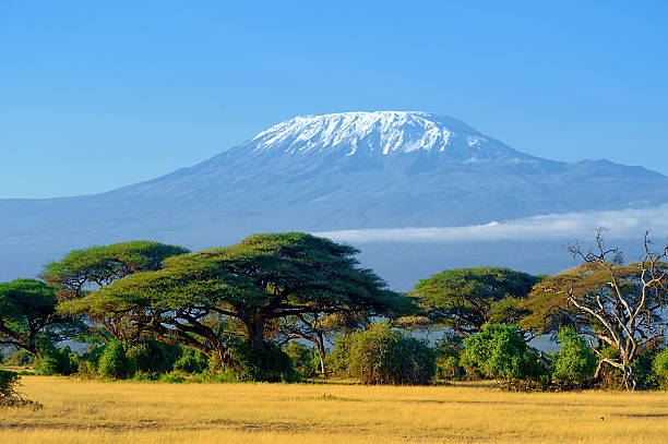 Mount Kilimanjaro Savannah Tanzania Africa