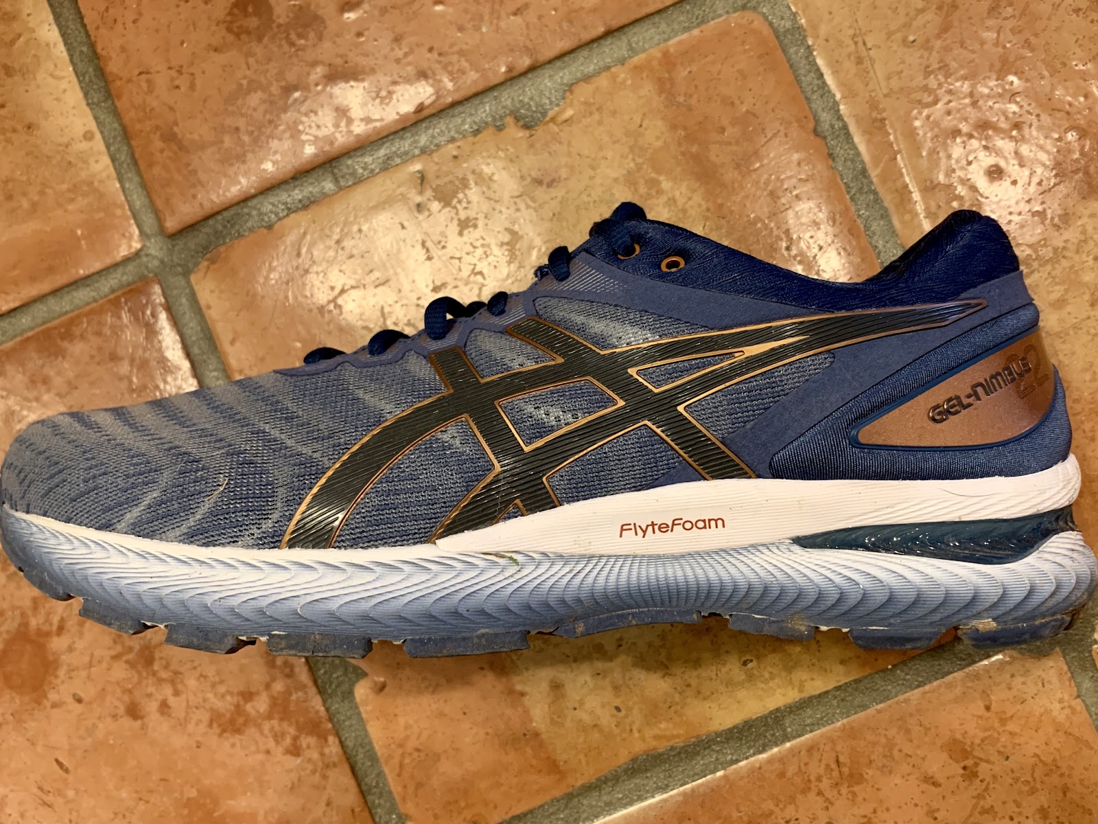 Road Trail Run: ASICS GEL-Nimbus 22 Review