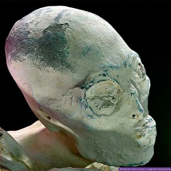 DNA test, Three-fingered alien corpses, Peru, New species, Human, Alien discovery, Biological analysis, Extraterrestrial hypothesis, Unusual human remains, Genetic testing