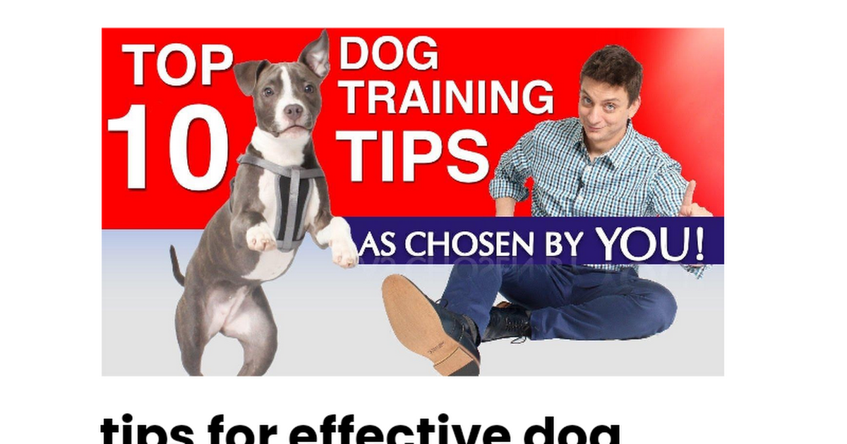 Tips For Effective Dog Training - Google Docs