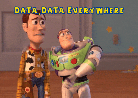 A GIF of Woody and Buzz Lightyear from Toy Story saying data, data everywhere