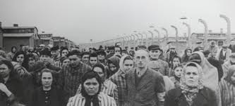 Auschwitz #3.jpg