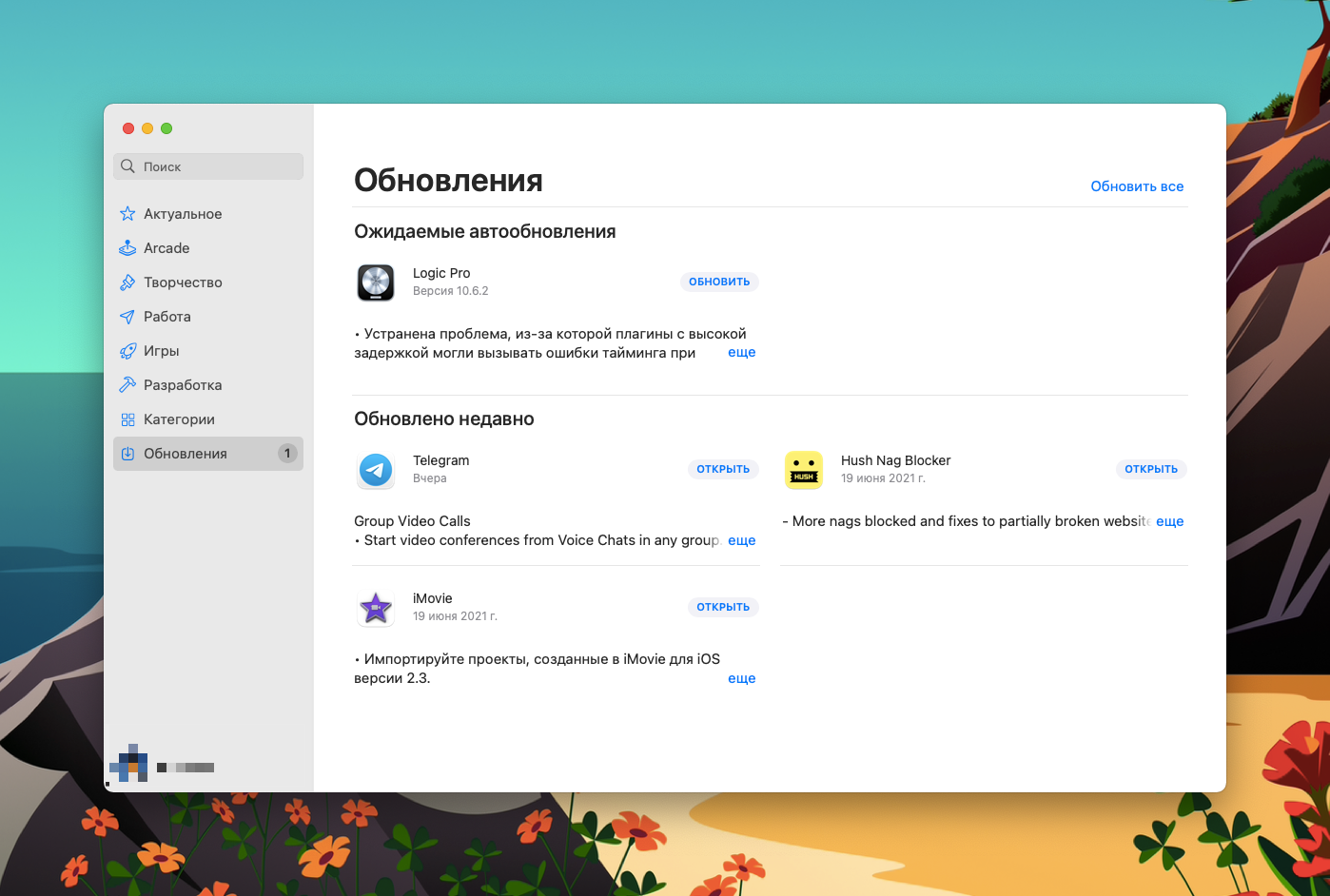 устанавливаем все самые свежие обновления для программ на Macos