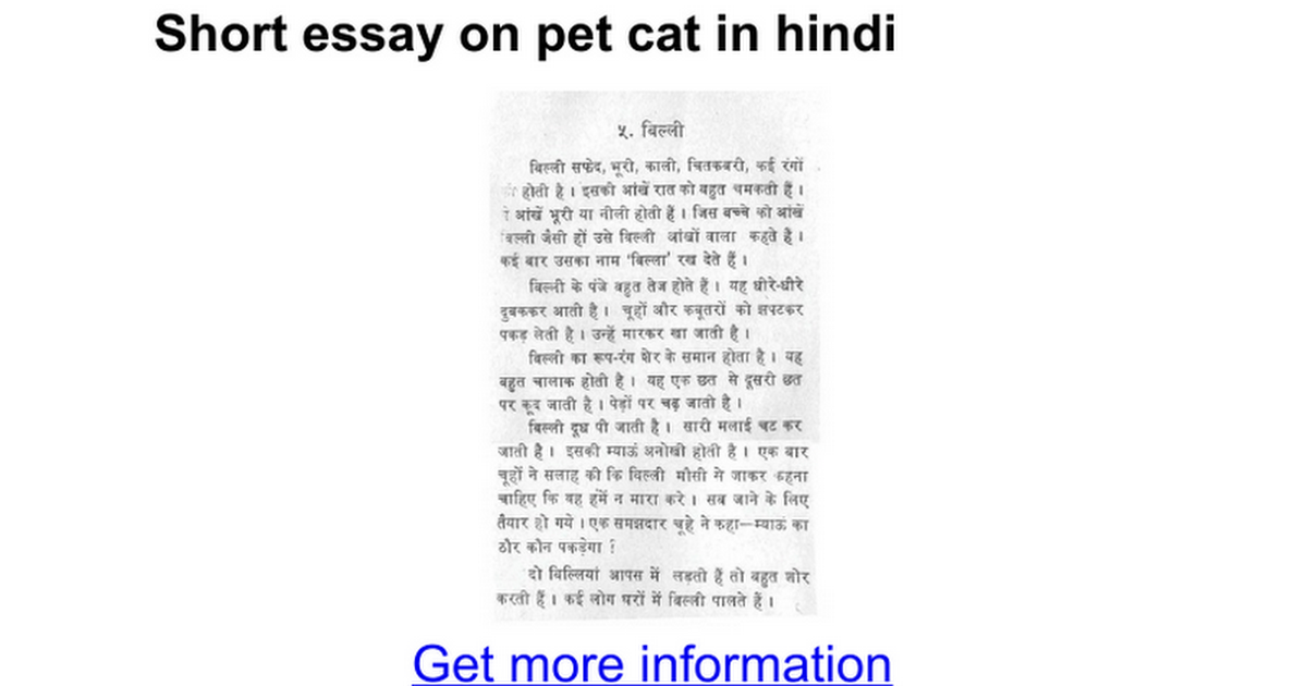 essay about cats