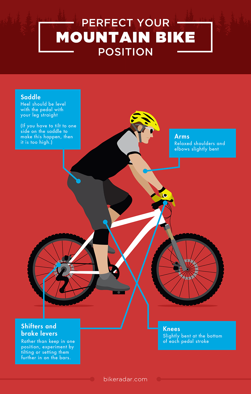 Not having your mountain bike set up ergonomically for your body could affect your entire upper body.