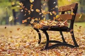 When you see leaves blowing in the wind, why do they sometimes spin in a  circle? - Quora
