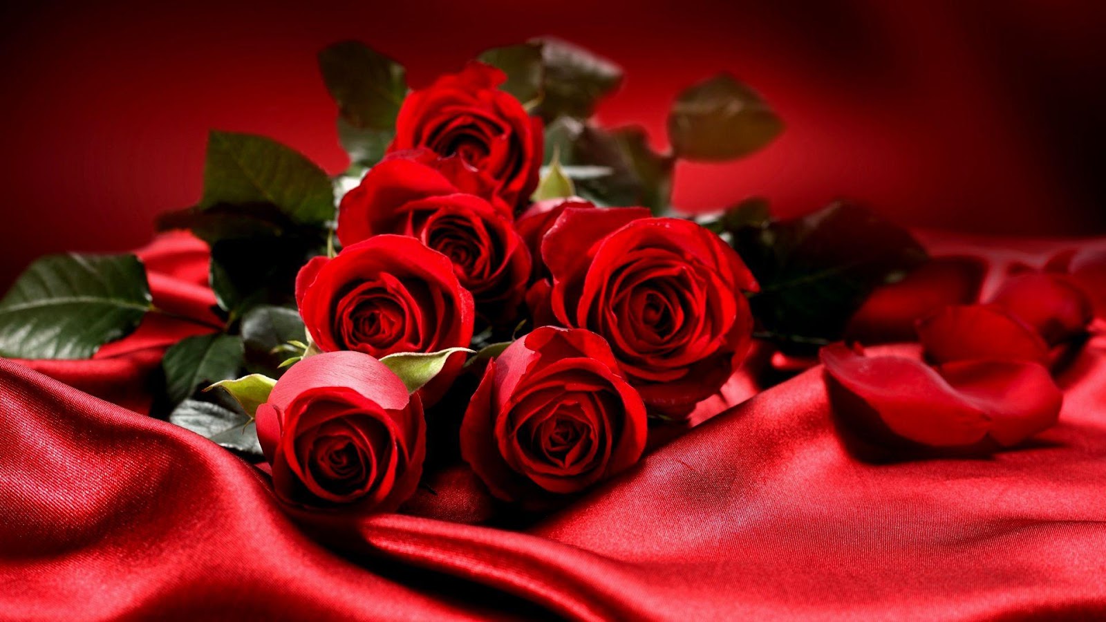 Фотографії червоних троянд