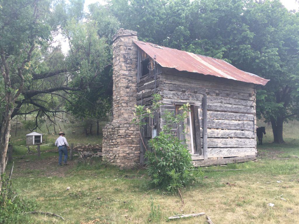 A picture containing tree, grass, outdoor, building

Description automatically generated