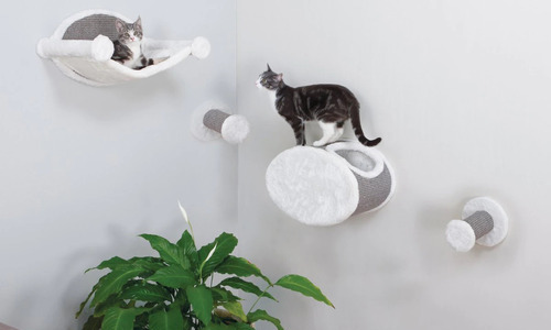 No Drill Cat Shelf in 2022 — Best Cat Review