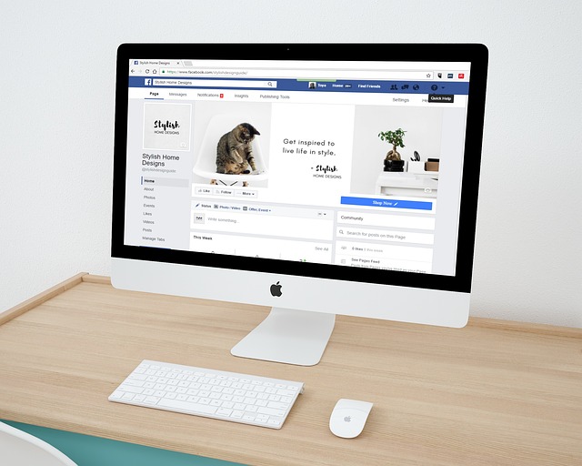 custom web application
