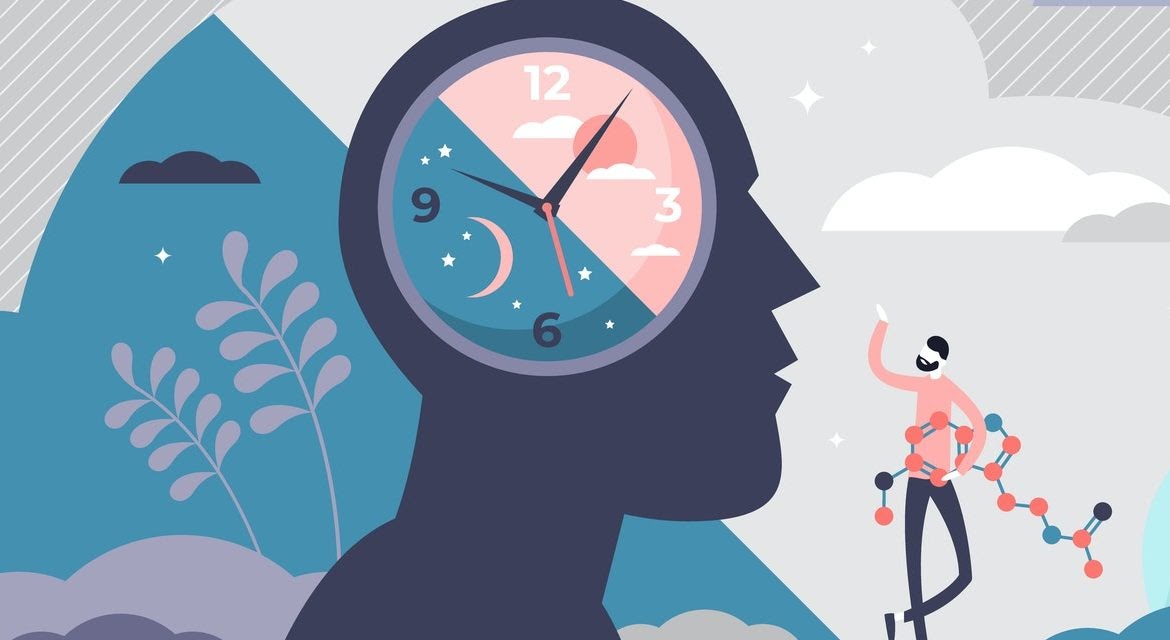  Đồng hồ sinh học con người chia làm các mốc thời gian khác nhau