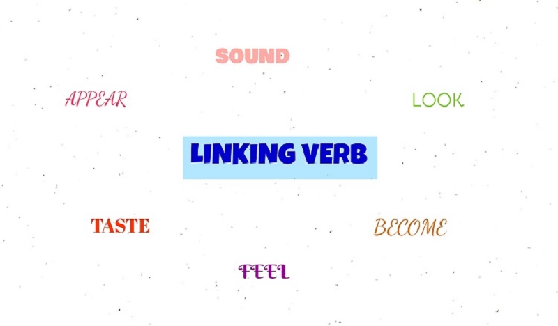 Các dạng linking verb