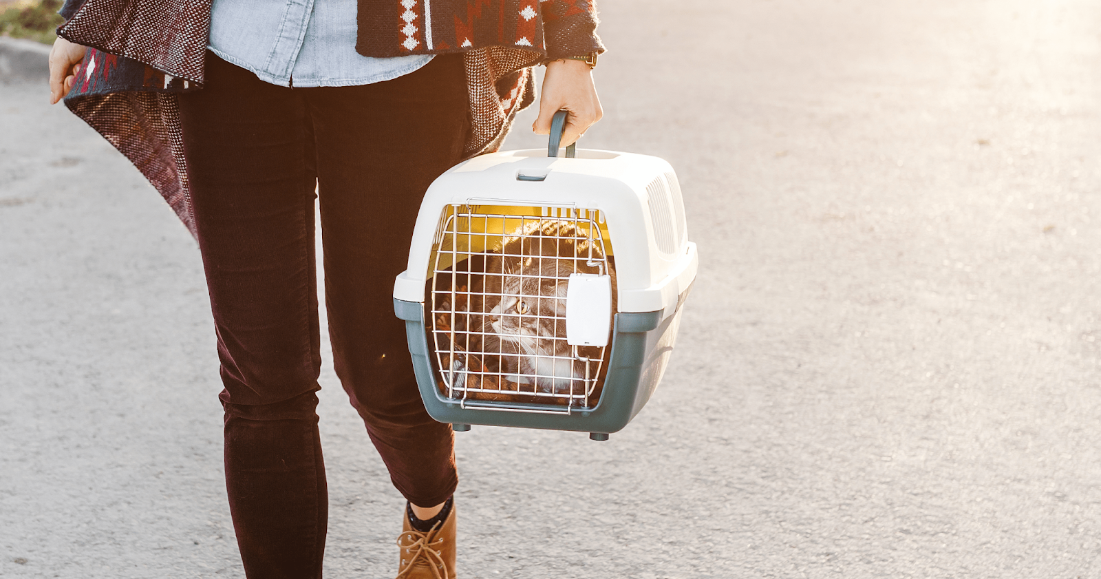 Person walking with cat in cat carrier