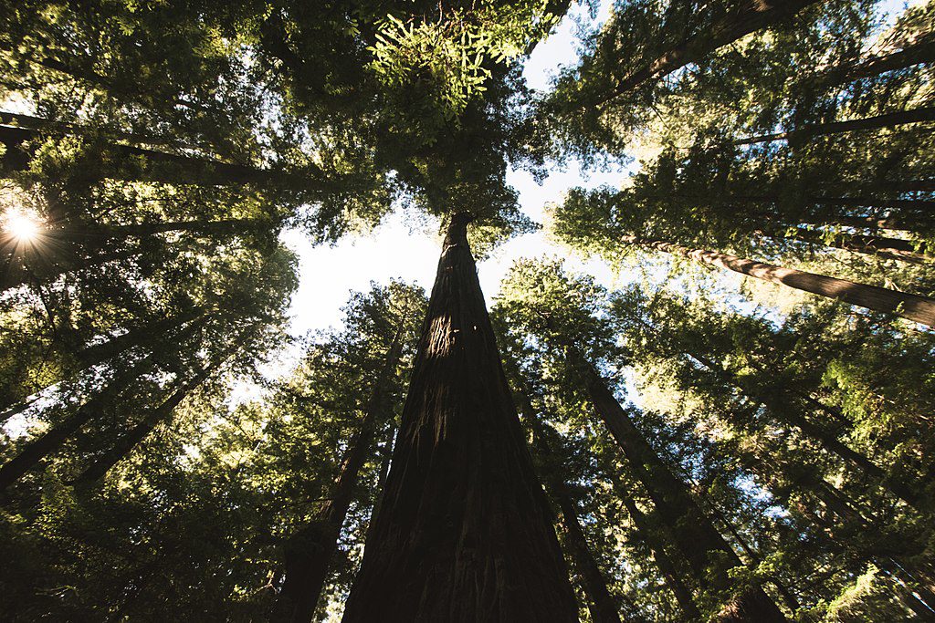 california state parks road trip