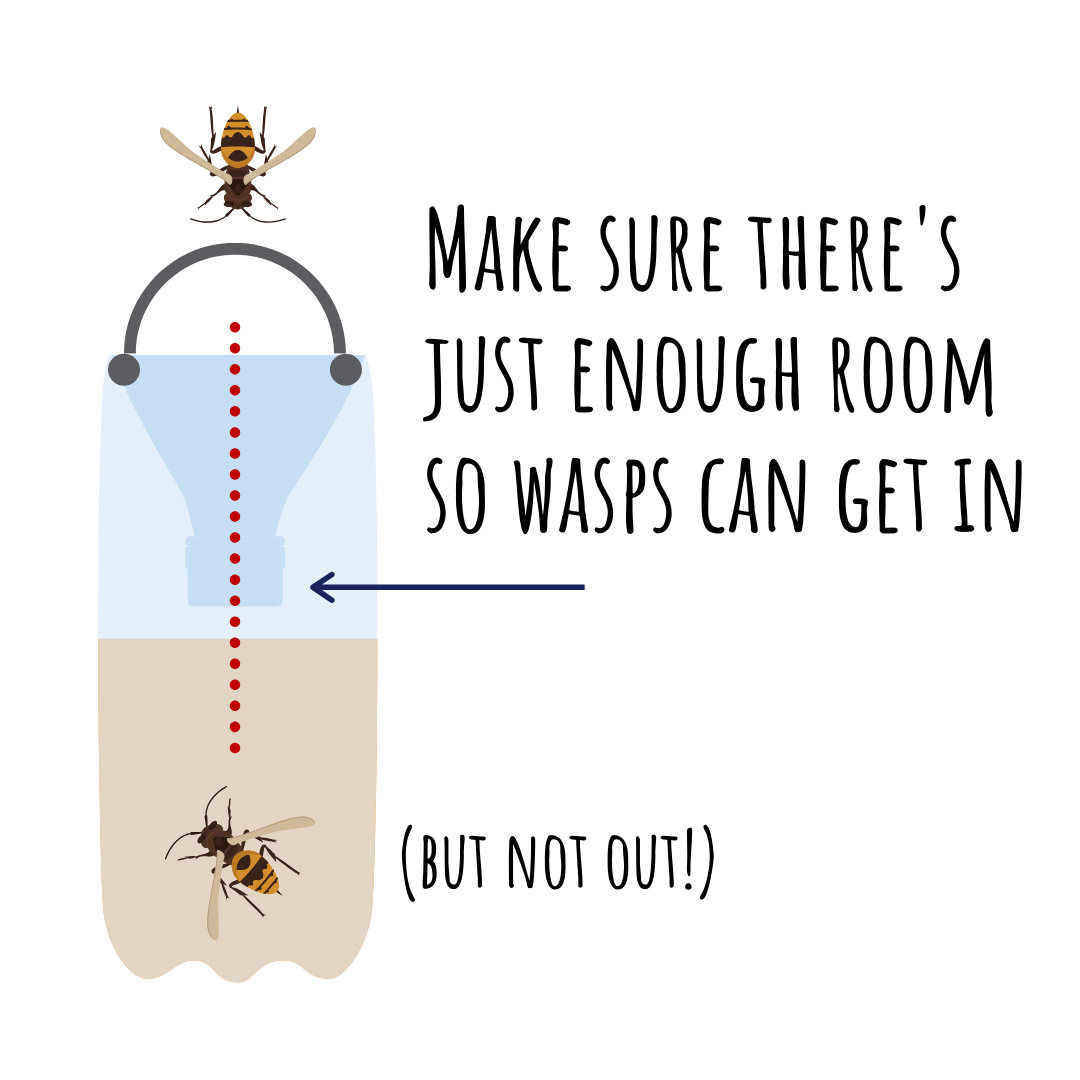 5 Step DIY Wasp Trap. Quick and Easy Solution
