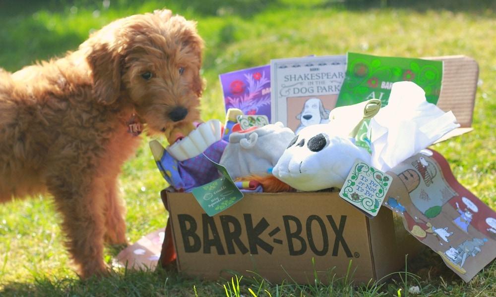Bark Box Coupon and Discounts - $5 for First Box! - Thrifty NW Mom