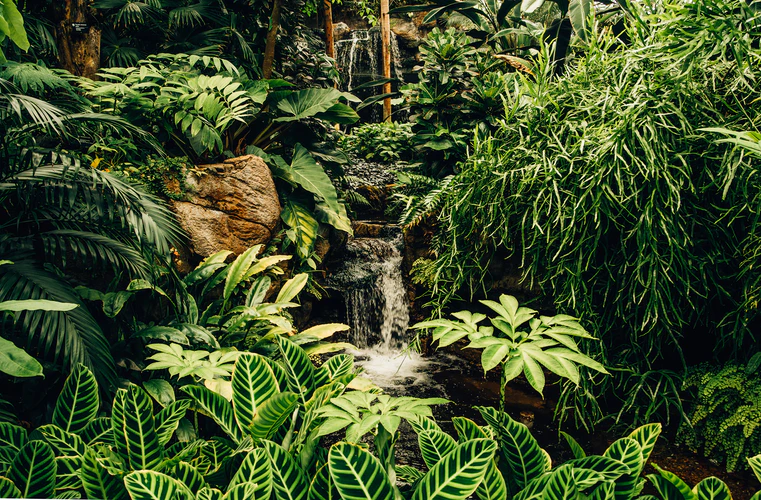 The 10 Largest Forests in the World