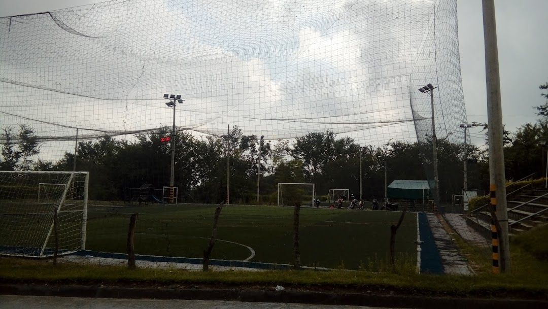 CANCHAS SINTETICAS GOL 5