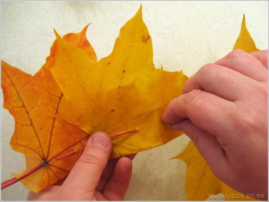 http://www.lobzik.pri.ee/catalog/291/leaf_crown_08.jpg