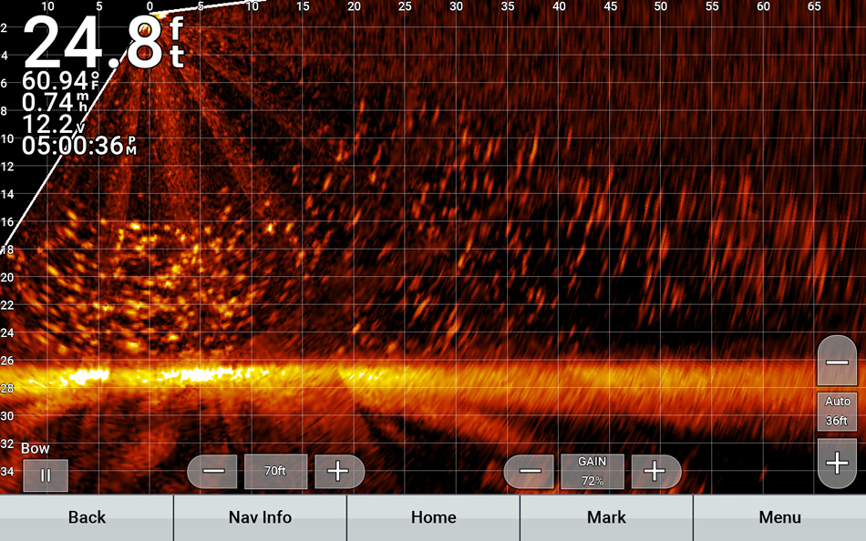 A school of perch shown on a Garmin fishfinder