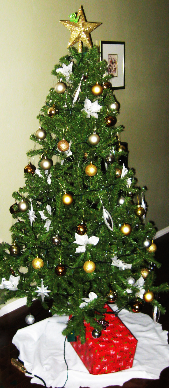 Xmas Tree.jpg