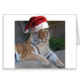 http://rlv.zcache.com/santa_hat_bengal_tiger_greeting_card-re64444a41c7c446198729b6728c74e02_xvuak_8byvr_512.jpg