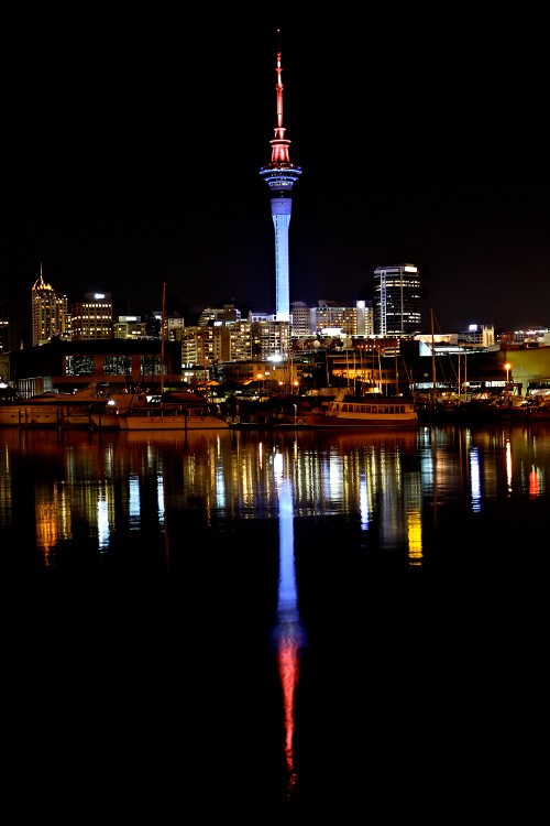 Image result for sky tower at night