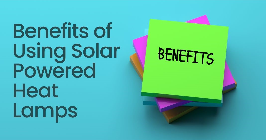 III. Benefits of Using Solar Powered Heat Lamps